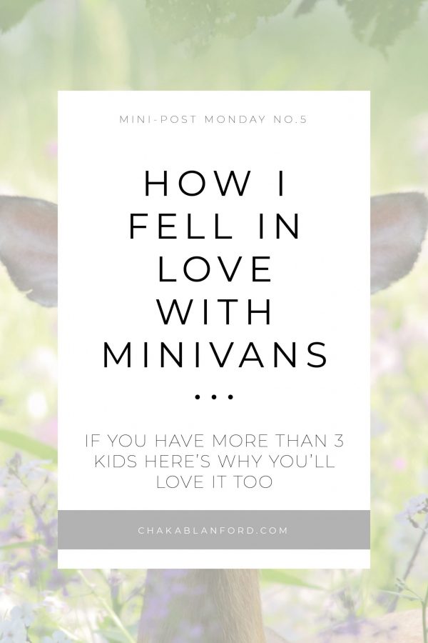Mini-Van-Love